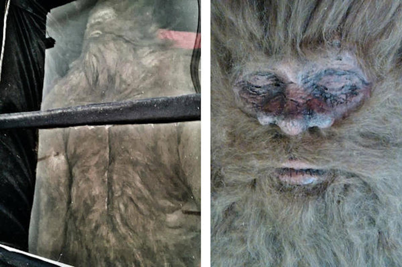 Illustration for article titled Uncovering the Dirty Secrets Behind the Latest Dead Bigfoot Story